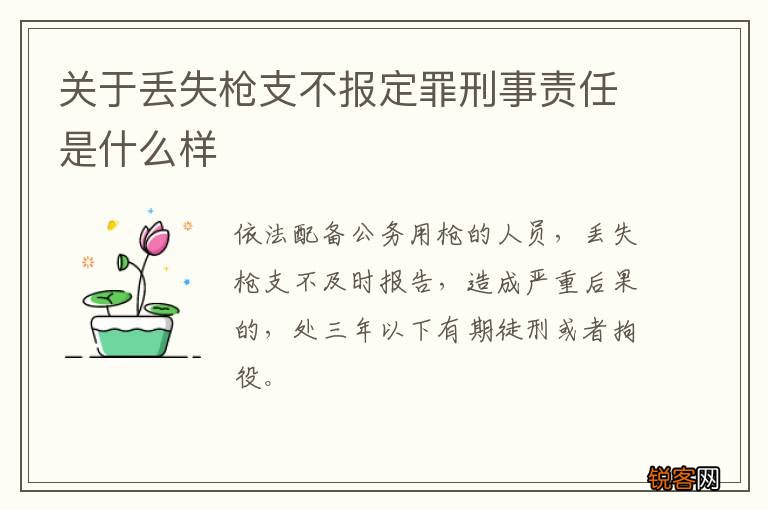 关于丢失枪支不报定罪刑事责任是什么样