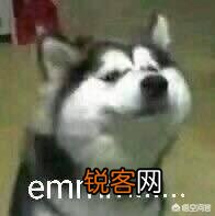 王者荣耀中的积分夺宝里面的雅典娜皮肤冰冠公主是不是很容易抽到？