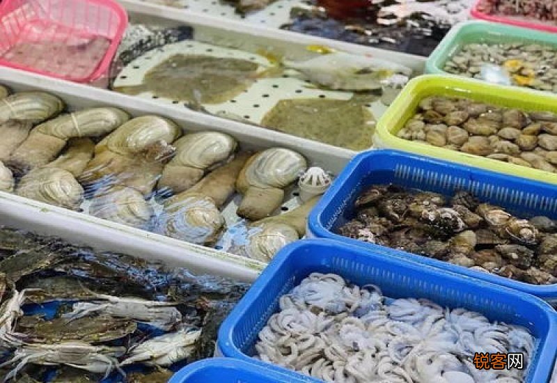 藏红花泡水来月经可以喝吗