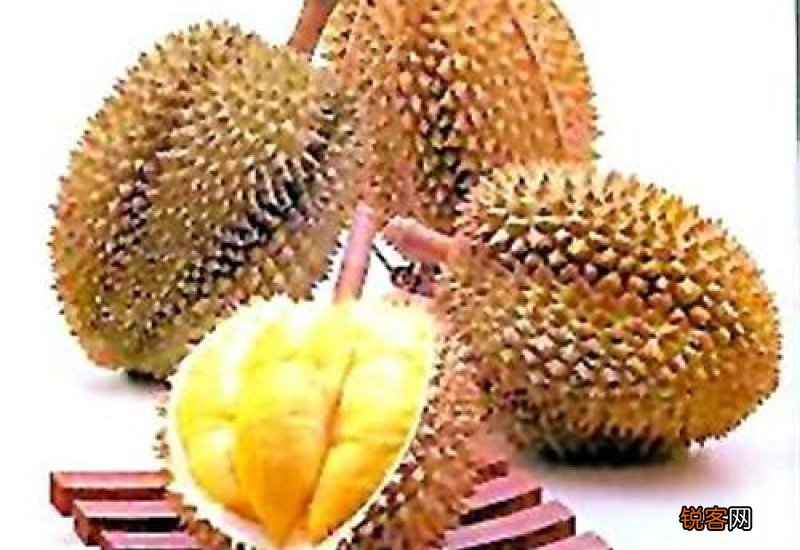 榴莲是热性还是凉性 榴莲是凉性还是热性