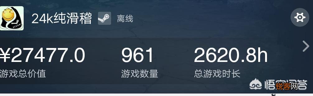 为什么有的玩家STEAM库存里的游戏价值好几万,却几乎从来不玩,反而寻求盗版呢？