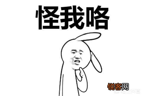 《荒野大镖客2》几天卖了50亿,同为R星的《Agent》却爆冷,对此你怎么看？