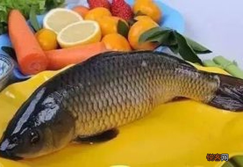 鲤鱼没有抽筋吃了会生病吗