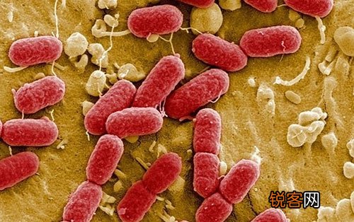 睾丸炎有什么罕见的诱因？晚期会呈现哪些症状