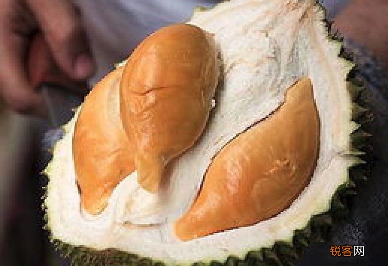 榴莲的热量高吗 榴莲的热量会胖吗