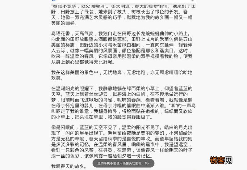 回故乡日记一则500字