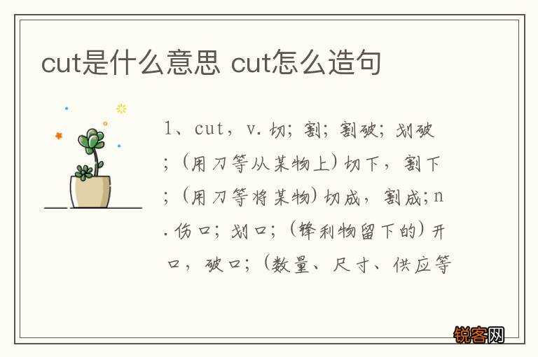 cut是什么意思 cut怎么造句