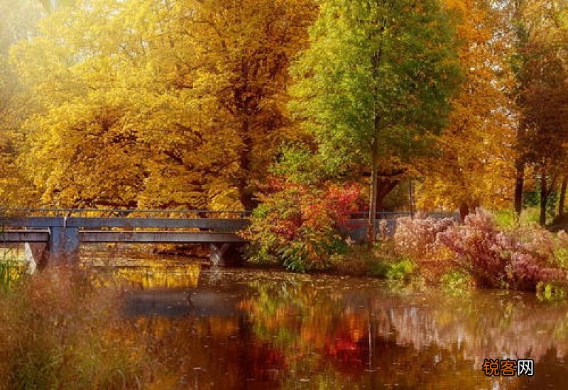 描写秋天景色的四字成语