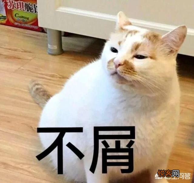 三星集团作为韩国的巨无霸公司,控制韩国经济命脉,为什么比不上苹果公司呢？