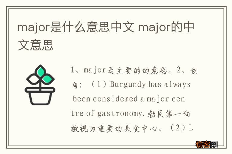 major是什么意思中文 major的中文意思
