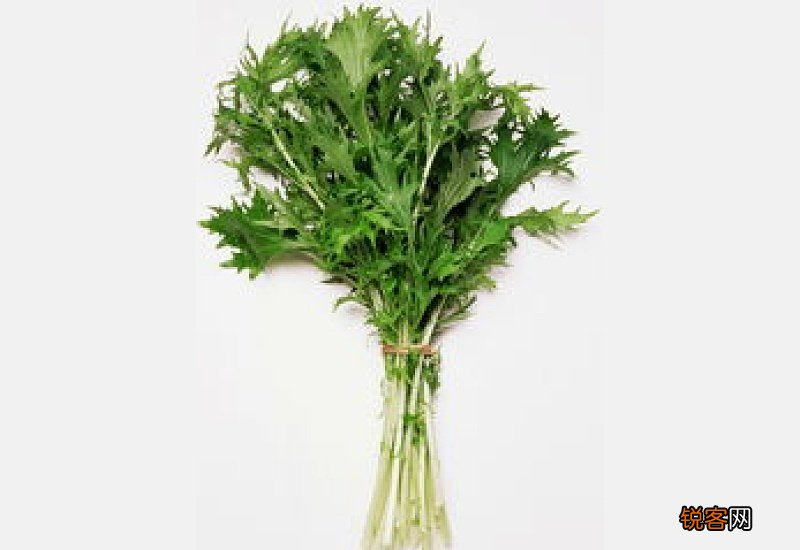 为什么泡了艾叶脚会脱皮