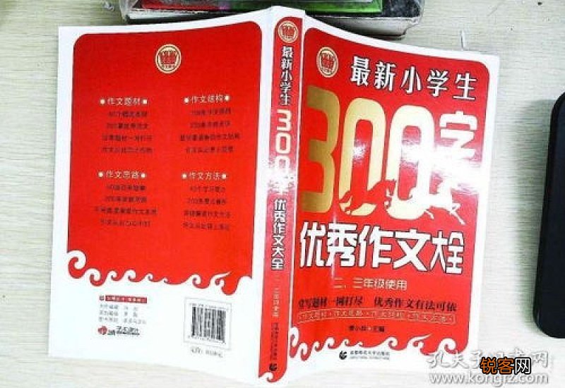 泼水节300字小学二年级作文