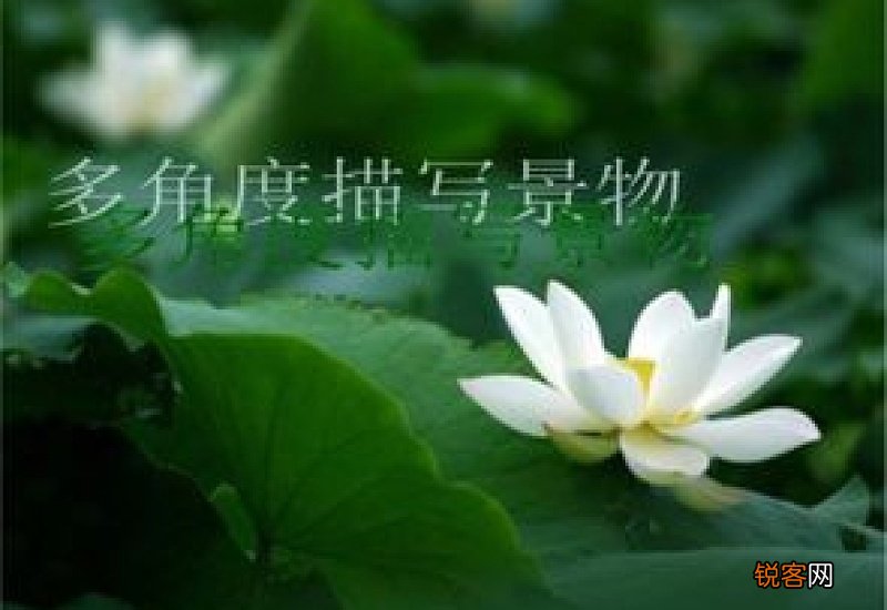 景物描写的角度有哪些方法