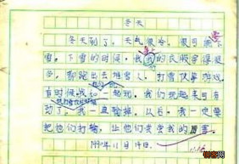 爬山虎300字小学二年级作文