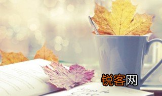 cartoon的中文意思 cartoon的中文翻译