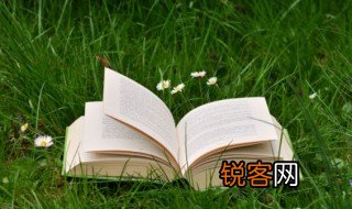 general什么意思中文 general的中文翻译