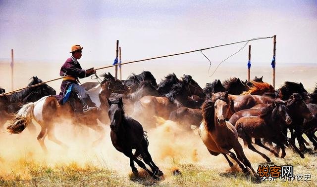 因骑兵太少,宋朝和辽、金打仗时常吃亏,宋朝为何不大量养战马？