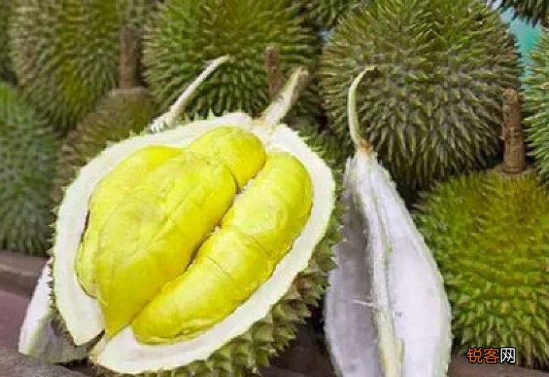 榴莲里面的核能吃吗 榴莲核可以吃吗