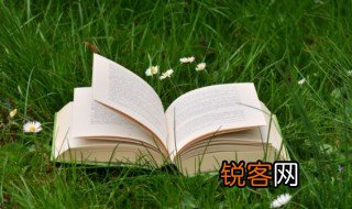 primary的中文意思是什么 primary的中文翻译