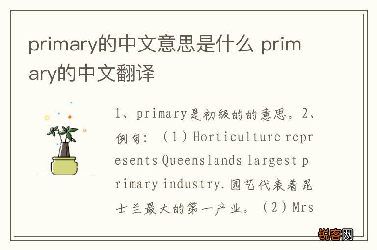 primary的中文意思是什么 primary的中文翻译