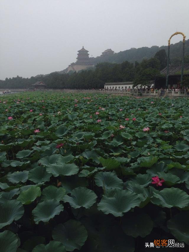 慈禧拿海军经费修园子了吗？