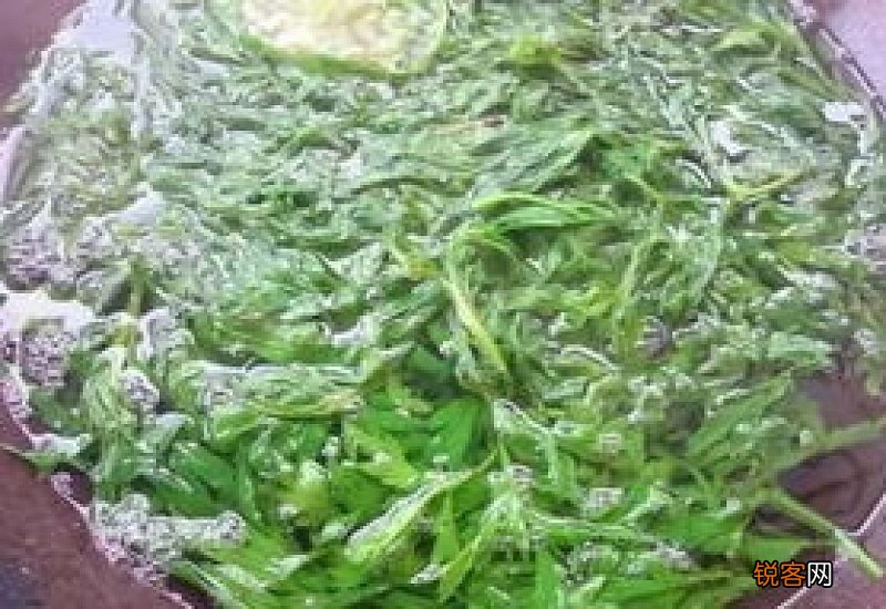 艾草煮水洗澡要煮多久