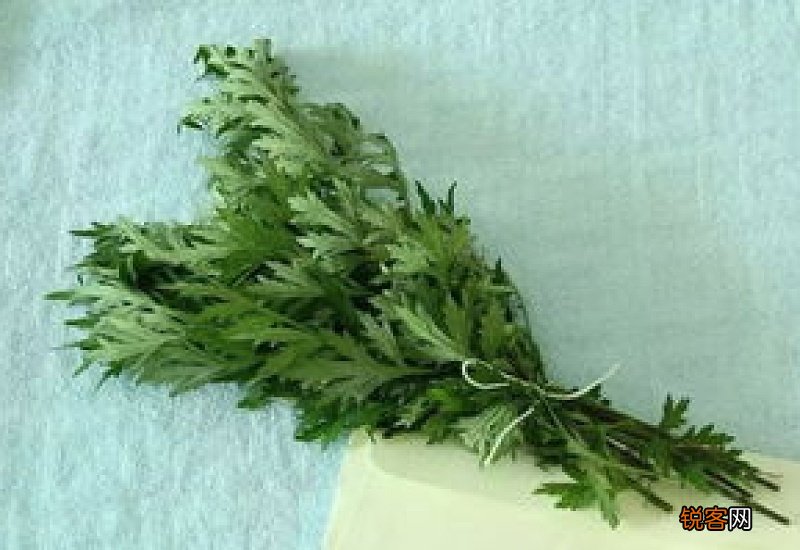 天天用艾草煮水洗澡可以吗