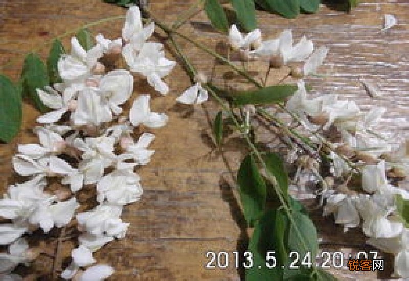 槐花有什么营养价值？槐花的食用方法