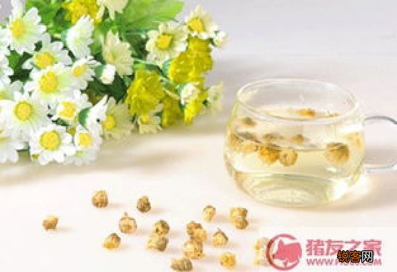 槐花茶怎么制作？槐花的功效与作用