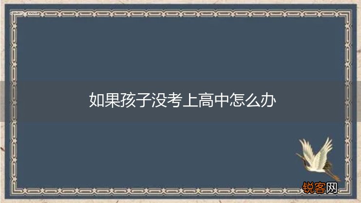 如果孩子没考上高中怎么办