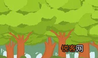 森林防火的知识有哪些 怎么预防森林火灾