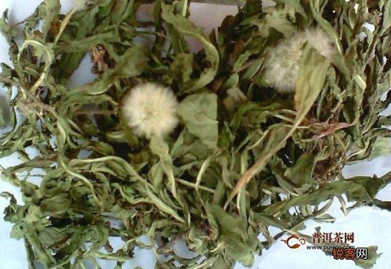 蒲公英根和枸杞泡水喝的功效