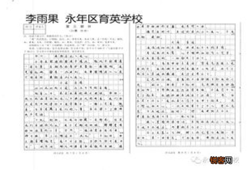抒情的中考满分作文