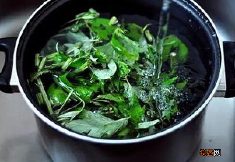 艾草泡酒要泡多长时间