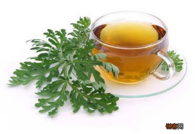 每天喝一杯艾叶水好吗