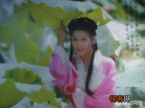 李清照的“人比黄花瘦”中的黄花指的是什么花？