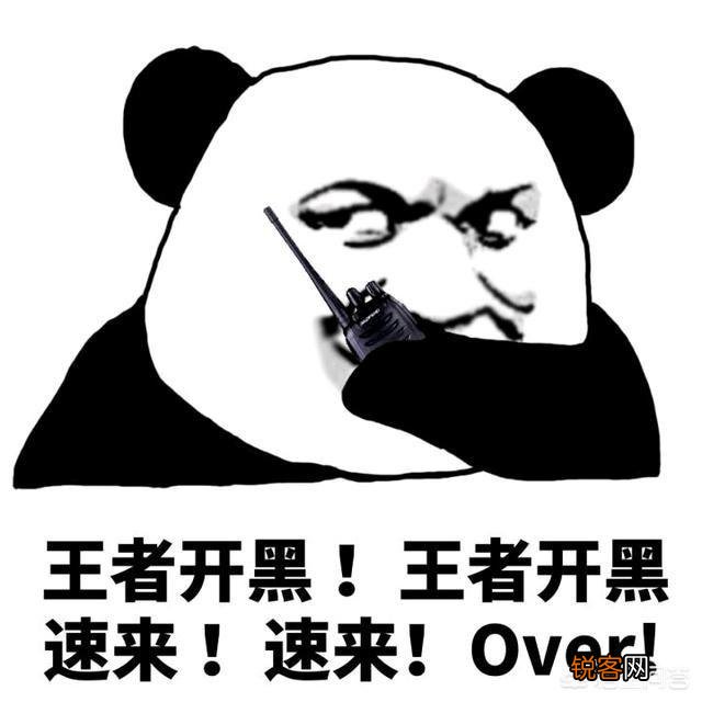 《王者荣耀》有什么好听的五黑名字以及头像？