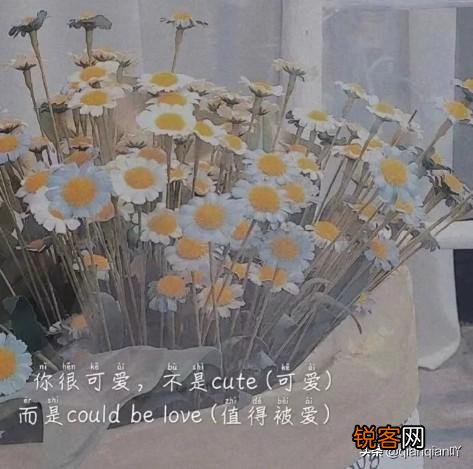 有哪些说到心坎里的经典句子？