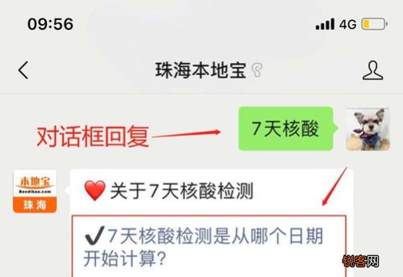 核酸检测7天之内包括第7天吗