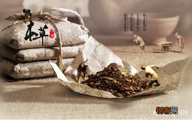 现在实体店生意里,哪几个行业利润比较可观？