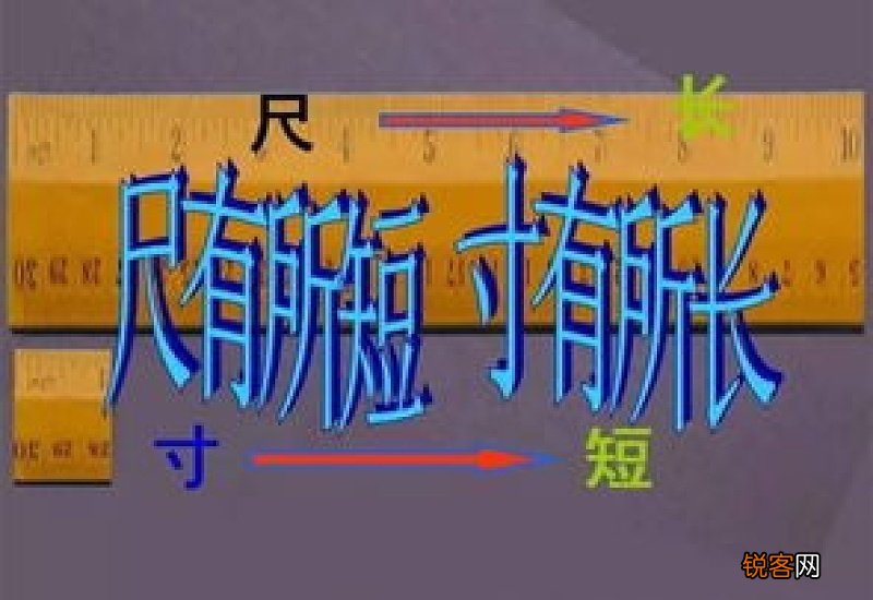 用寸有所长造句,用寸有所长写一句话