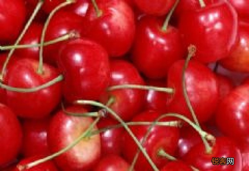 樱桃吃多了有什么影响 樱桃吃多少比较好