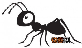 蚂蚁有什么含义 蚂蚁的含义