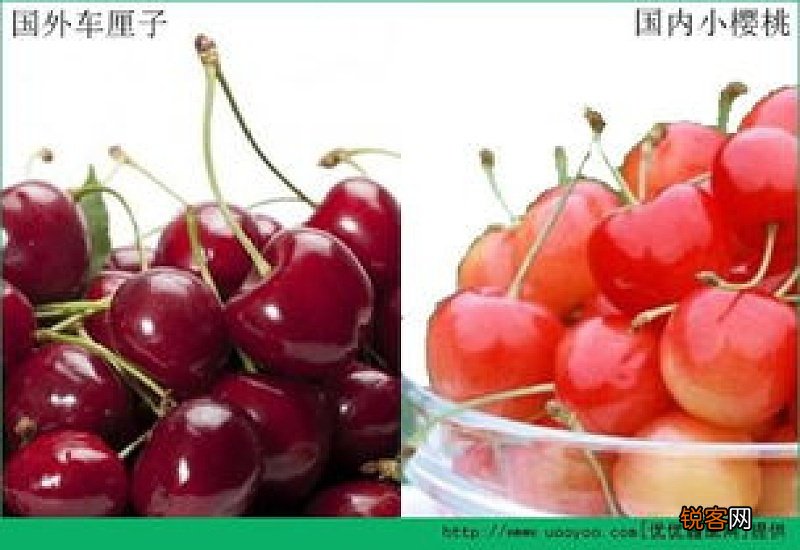 樱桃和车厘子有区别吗 樱桃和车厘子的区别是什么