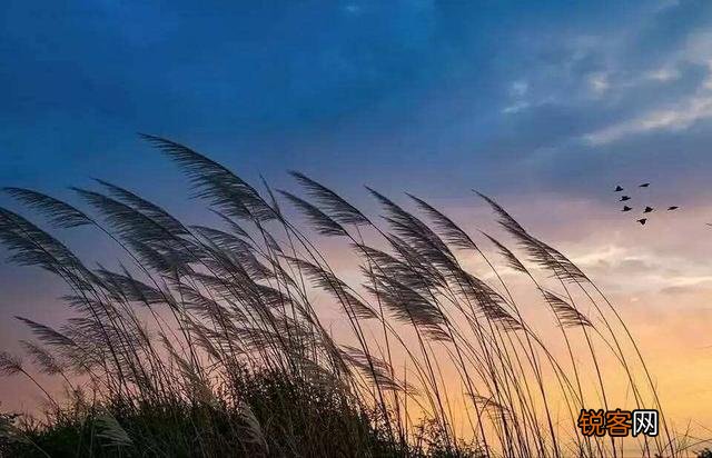 求一篇七律诗？不限内容,自己写的？