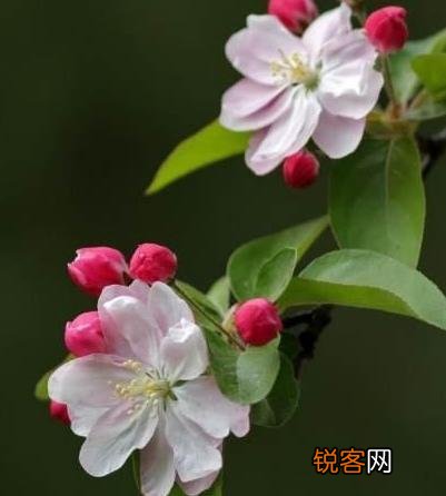 求一篇七律诗？不限内容,自己写的？
