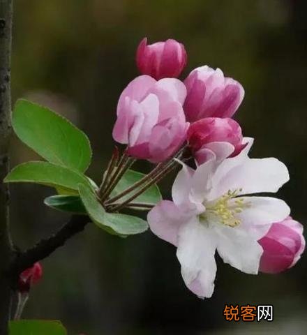 求一篇七律诗？不限内容,自己写的？