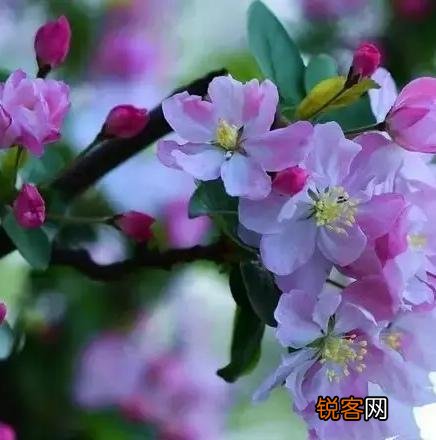求一篇七律诗？不限内容,自己写的？