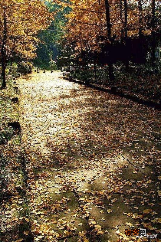 如何学写七律？