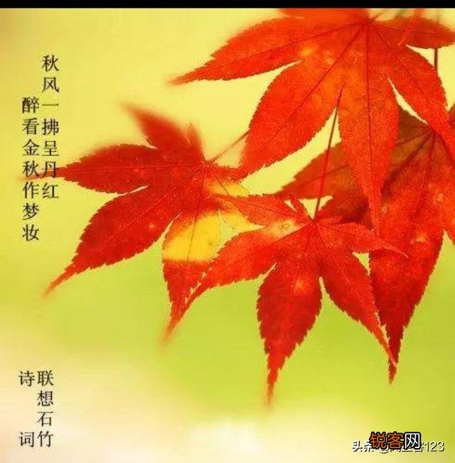 什么诗词叫七律？七律诗有哪些特性？